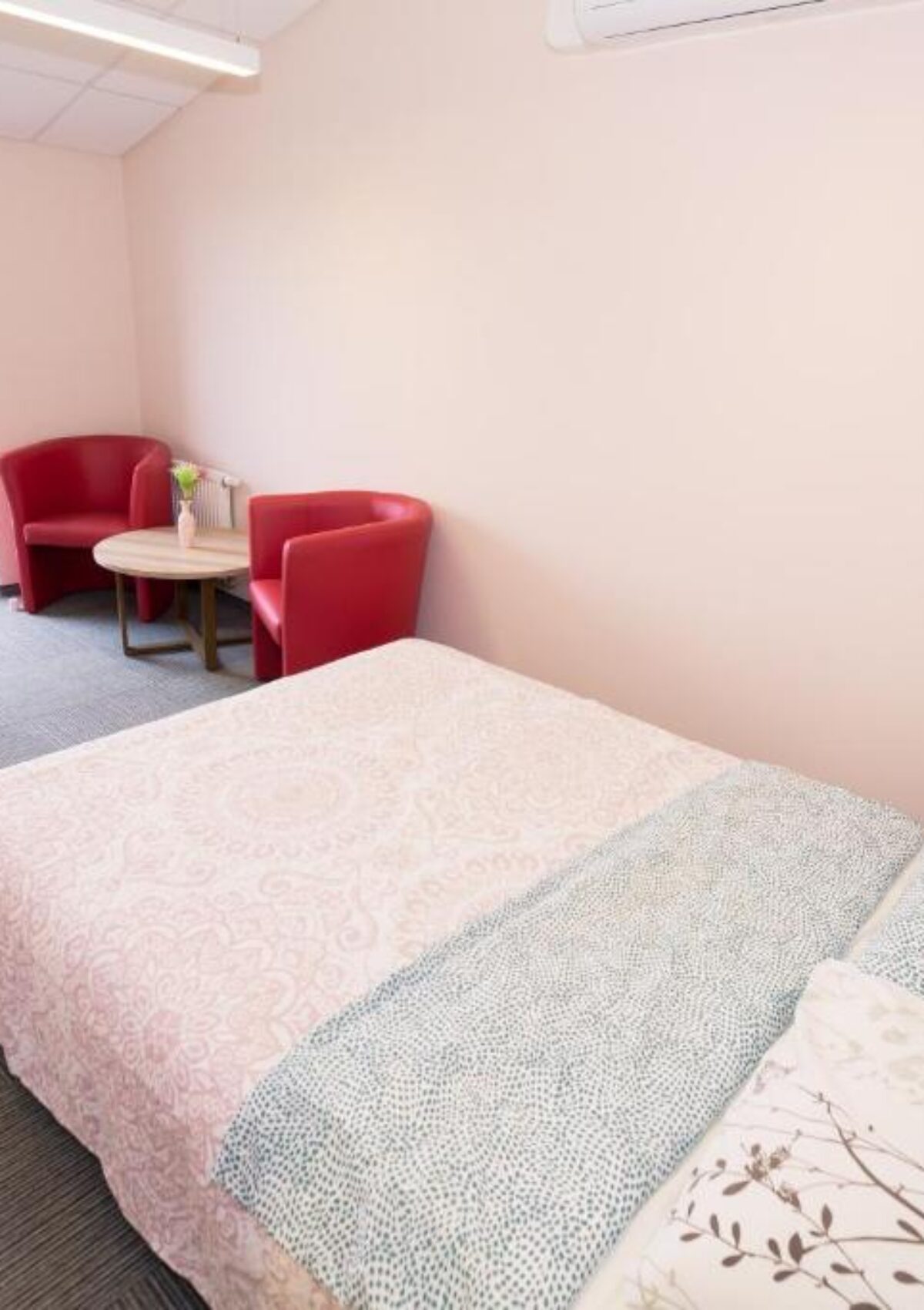 Apartamentai Alytuje